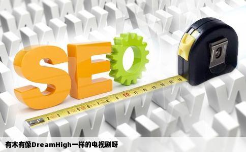 有木有像DreamHigh一样的电视剧呀