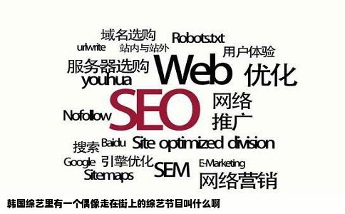 韩国综艺里有一个偶像走在街上的综艺节目叫什么啊