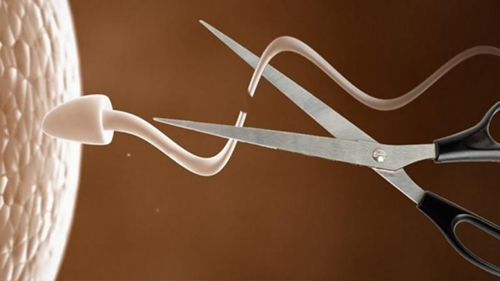 男性避孕药有哪些牌子 男性避孕药有哪些牌子