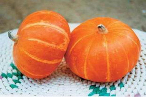 南瓜的功效与作用 南瓜的功效与作用