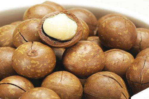 锌的作用与功效