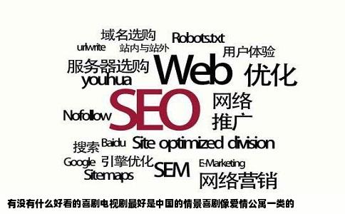 有没有什么好看的喜剧电视剧最好是中国的情景喜剧像爱情公寓一类的