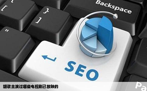 胡歌主演过哪些电视剧己放映的