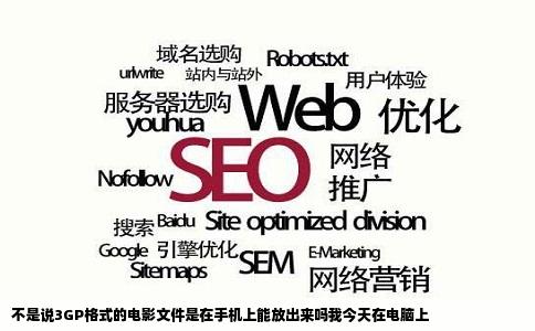 不是说3GP格式的电影文件是在手机上能放出来吗我今天在电脑上