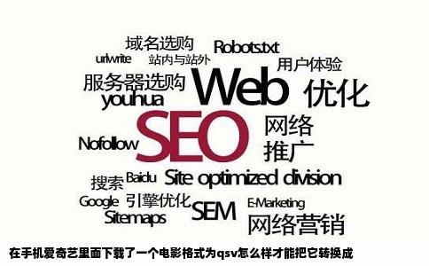 在手机爱奇艺里面下载了一个电影格式为qsv怎么样才能把它转换成