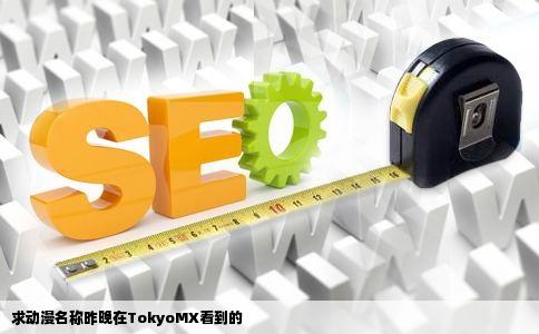 求动漫名称昨晚在TokyoMX看到的