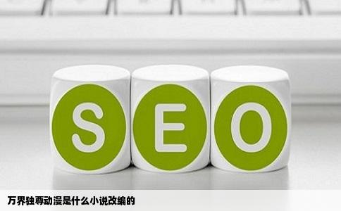 万界独尊动漫是什么小说改编的