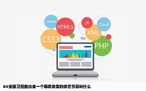 80安徽卫视新出来一个唱歌类型的综艺节目叫什么