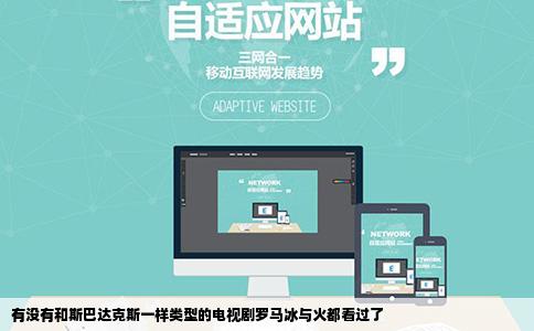 有没有和斯巴达克斯一样类型的电视剧罗马冰与火都看过了