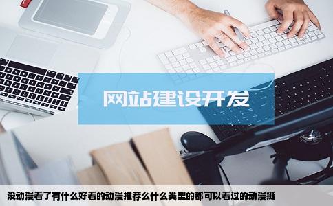 没动漫看了有什么好看的动漫推荐么什么类型的都可以看过的动漫挺