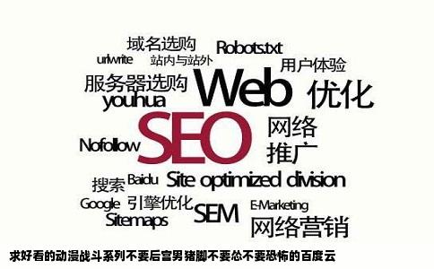 求好看的动漫战斗系列不要后宫男猪脚不要怂不要恐怖的百度云