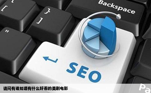 请问有谁知道有什么好看的美剧电影