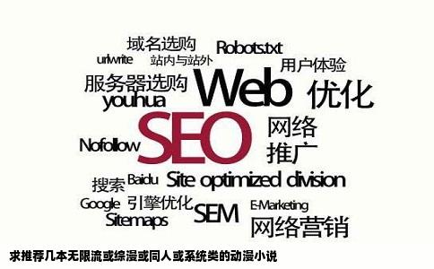 求推荐几本无限流或综漫或同人或系统类的动漫小说