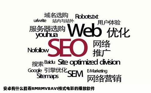 安卓有什么能看RMRMVBAVI格式电影的播放软件