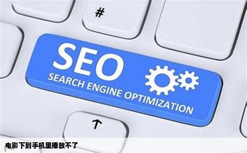 电影下到手机里播放不了