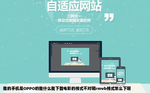 我的手机是OPPO的我什么我下载电影的格式不对呢rmvb格式怎么下啊