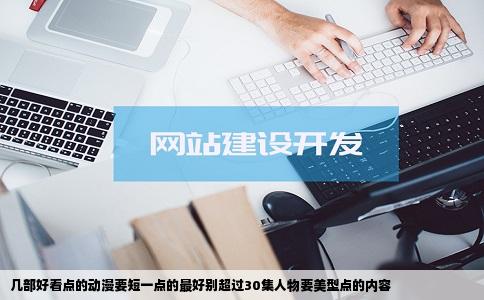 几部好看点的动漫要短一点的最好别超过30集人物要美型点的内容