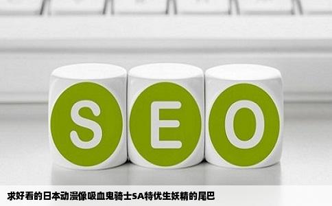 求好看的日本动漫像吸血鬼骑士SA特优生妖精的尾巴