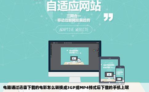 电脑通过迅雷下载的电影怎么转换成3GP或MP4格式后下载的手机上呢