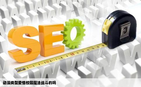 动漫类型爱情校园魔法战斗的吗