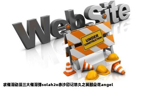 求催泪动漫三大催泪弹solah2o赤沙印记悠久之翼那朵花angel