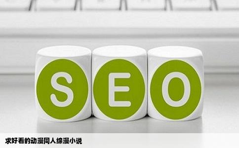 求好看的动漫同人综漫小说