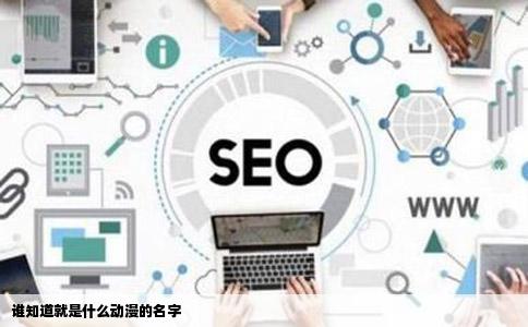 谁知道就是什么动漫的名字