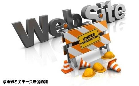 求电影名关于一只忠诚的狗