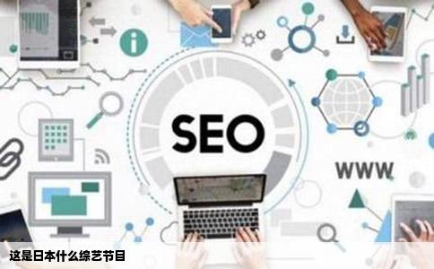 这是日本什么综艺节目