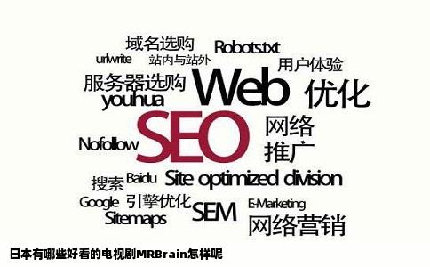 日本有哪些好看的电视剧MRBrain怎样呢