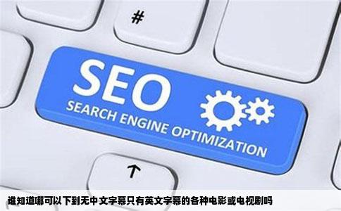 谁知道哪可以下到无中文字幕只有英文字幕的各种电影或电视剧吗