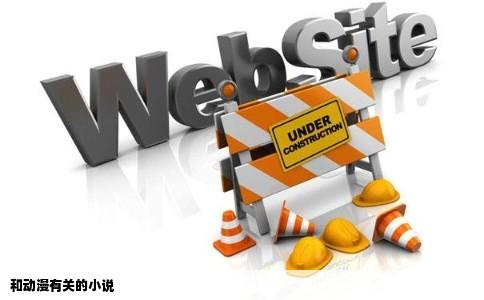 和动漫有关的小说