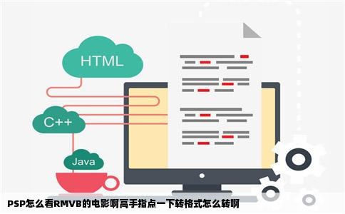 PSP怎么看RMVB的电影啊高手指点一下转格式怎么转啊