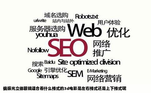 偏振光立体眼镜适合看什么格式的3d电影是左右格式还是上下格式呢