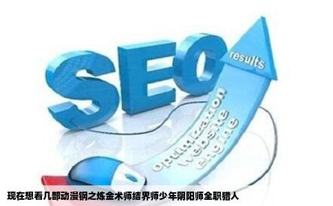 现在想看几部动漫钢之炼金术师结界师少年阴阳师全职猎人