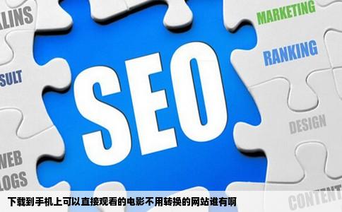 下载到手机上可以直接观看的电影不用转换的网站谁有啊