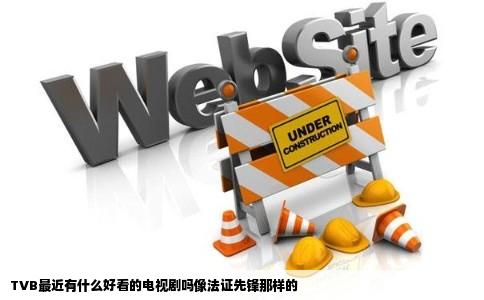 TVB最近有什么好看的电视剧吗像法证先锋那样的