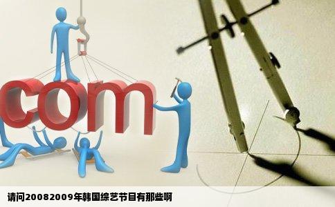 请问20082009年韩国综艺节目有那些啊