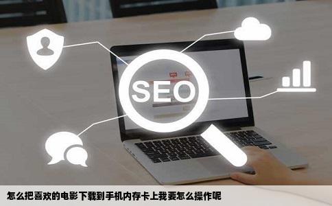 怎么把喜欢的电影下载到手机内存卡上我要怎么操作呢