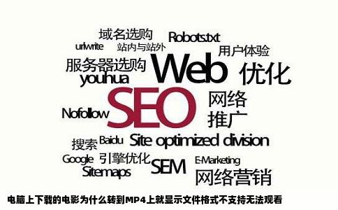 电脑上下载的电影为什么转到MP4上就显示文件格式不支持无法观看