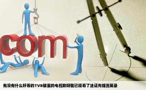 有没有什么好看的TVB破案的电视剧呀我已经看了法证先锋洗冤录