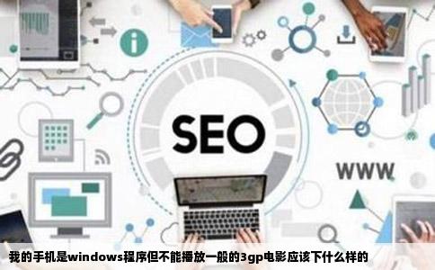 我的手机是windows程序但不能播放一般的3gp电影应该下什么样的