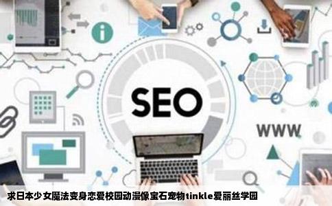 求日本少女魔法变身恋爱校园动漫像宝石宠物tinkle爱丽丝学园