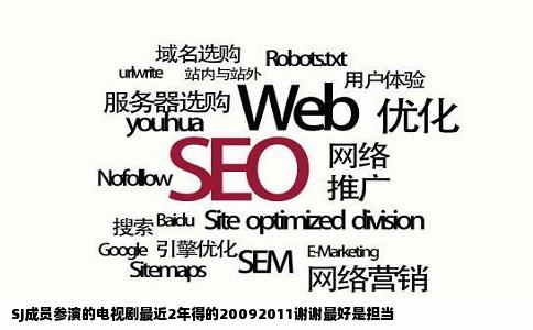 SJ成员参演的电视剧最近2年得的20092011谢谢最好是担当