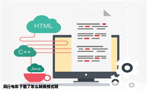 风行电影下载了怎么转换格式啊