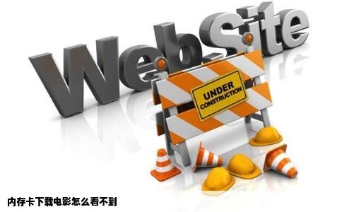 内存卡下载电影怎么看不到