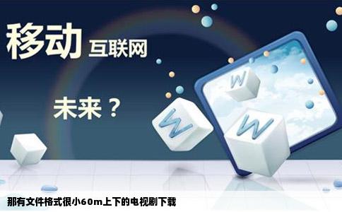那有文件格式很小60m上下的电视剧下载