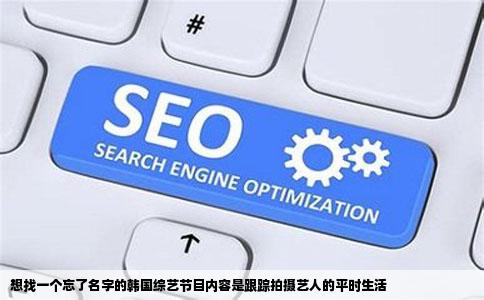 想找一个忘了名字的韩国综艺节目内容是跟踪拍摄艺人的平时生活