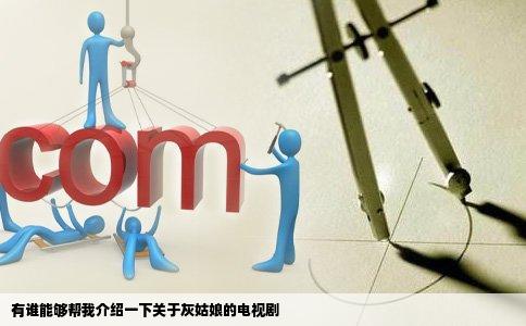 有谁能够帮我介绍一下关于灰姑娘的电视剧