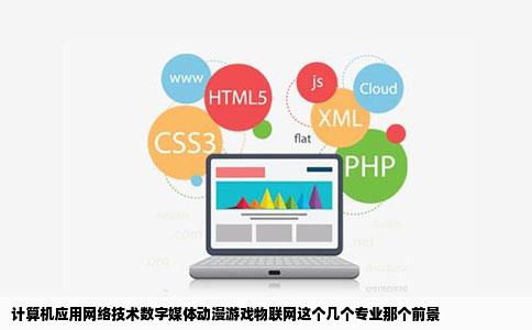 计算机应用网络技术数字媒体动漫游戏物联网这个几个专业那个前景